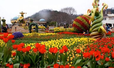 LALE FESTİVALİ EMİRGAN KORUSU-PİERRE LOTİ-EYÜP SULTAN-EMİNÖNÜ