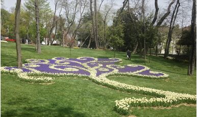 LALE FESTİVALİ EMİRGAN KORUSU-PİERRE LOTİ-EYÜP SULTAN-ORTAKÖY