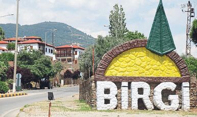 İZMİR BAYINDIR ÇİÇEĞİ FESTİVALİ