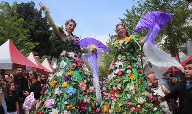 İZMİR BAYINDIR ÇİÇEĞİ FESTİVALİ