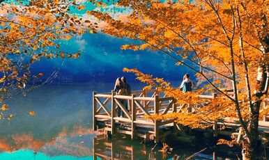 YEDİGÖLLER VE GÖLCÜK  GÖLÜ TURU