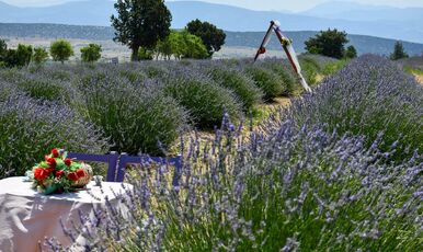 ISPARTA LAVANTA FESTİVALİ-SALDA GÖLÜ VE PAMUKKALE TURU
