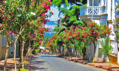 BÜYÜKADA ORTAKÖY TURU