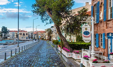 SEFERİHİSAR MANDALİNA FESTİVALİ