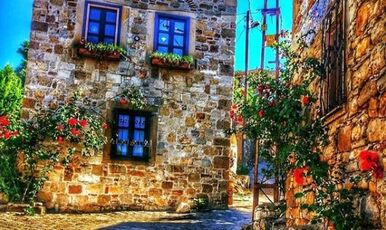 SEFERİHİSAR MANDALİNA FESTİVALİ