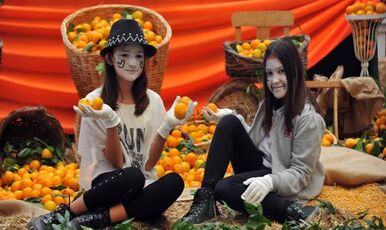 SEFERİHİSAR MANDALİNA FESTİVALİ