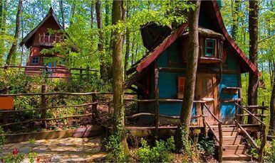 KARTEPE MAŞUKİYE VE ORMANYA TURU