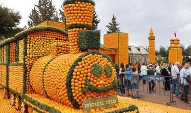 ADANA PORTAKAL ÇİÇEĞİ FESTİVALİ