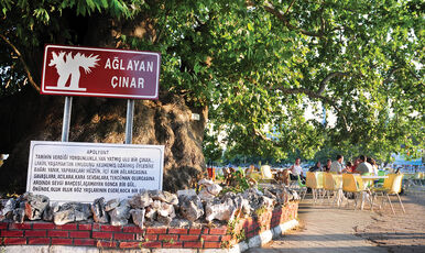CUMALIKIZIK GÖLYAZI TRİLYE MUDANYA TURU