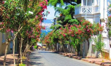 BÜYÜKADA VE HEYBELİADA TURU