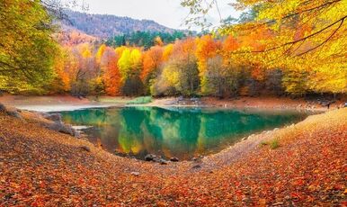 YEDİGÖLLER-GÖYNÜK-MUDURNU-TARAKLI TURU