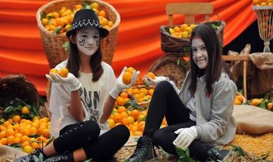 SEFERİHİSAR MANDALİNA FESTİVALİ